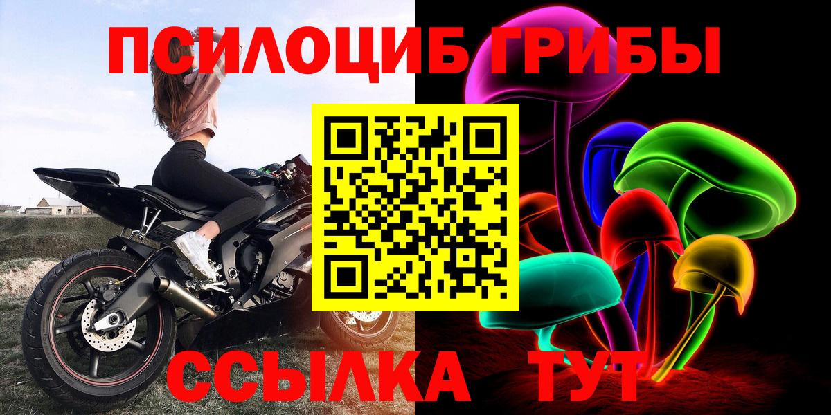 Калуга  Галлюциногенные грибы мухоморы  Галлюциногенные грибы Psilocybine cubensis  Вход с VPN 